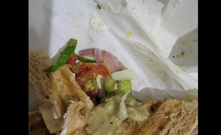 Klient Zomato znalazł karalucha w kanapce zamówionej w Cloud Kitchen, internauci wyrażają zaniepokojenie |  Trendy