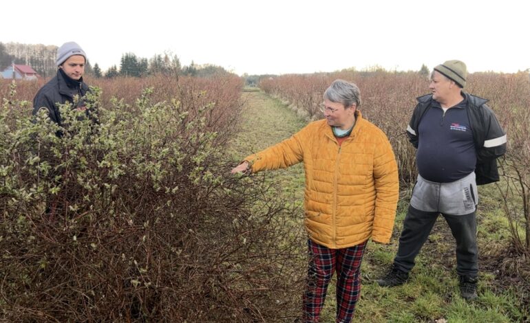 Dlaczego polscy rolnicy sprzeciwiają się Zielonemu Ładowi