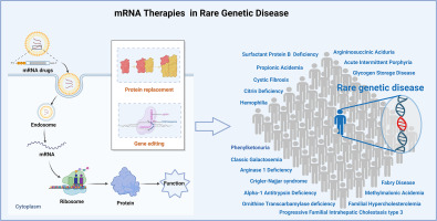 Terapie mRNA: pionierstwo nowej ery w leczeniu rzadkich chorób genetycznych