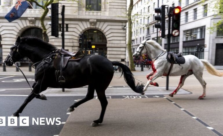 Cztery osoby zostały ranne, gdy uciekające konie wojskowe przejechały przez centrum Londynu