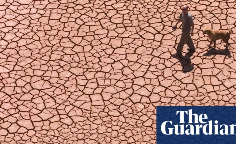 Dziesiąty z rzędu miesięczny rekord ciepła alarmuje i dezorientuje klimatologów |  Kryzys klimatyczny