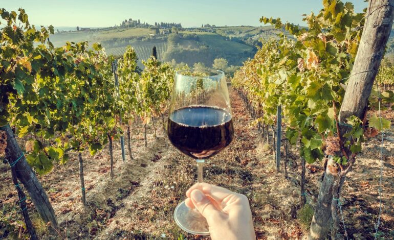 6 najlepszych miejsc we Francji na wspaniałe wakacje z winem według ekspertów ds. podróży
