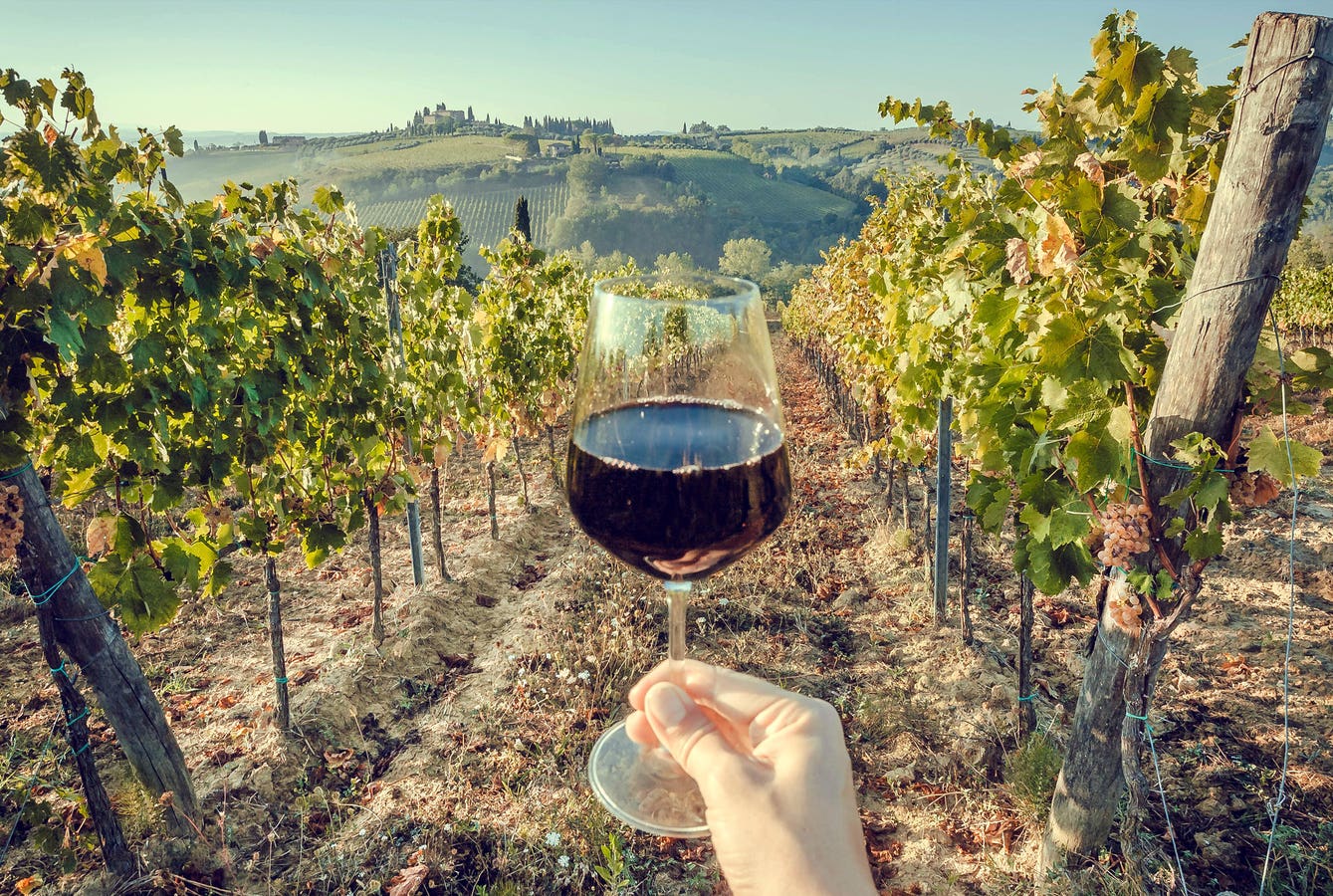 6 najlepszych miejsc we Francji na wspaniałe wakacje z winem według ekspertów ds. podróży