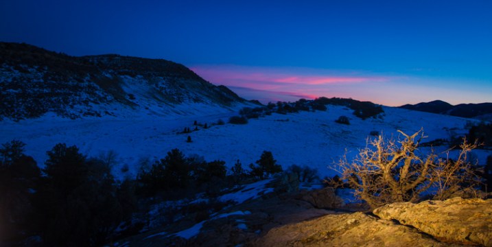 Późnym wieczorem na skałach Dakota Hogback u podnóża Kolorado niedaleko Denver wyrastają karłowate sosny.