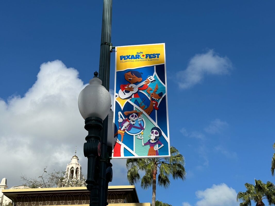 Festiwal Pixara "Kokosowiec" transparent