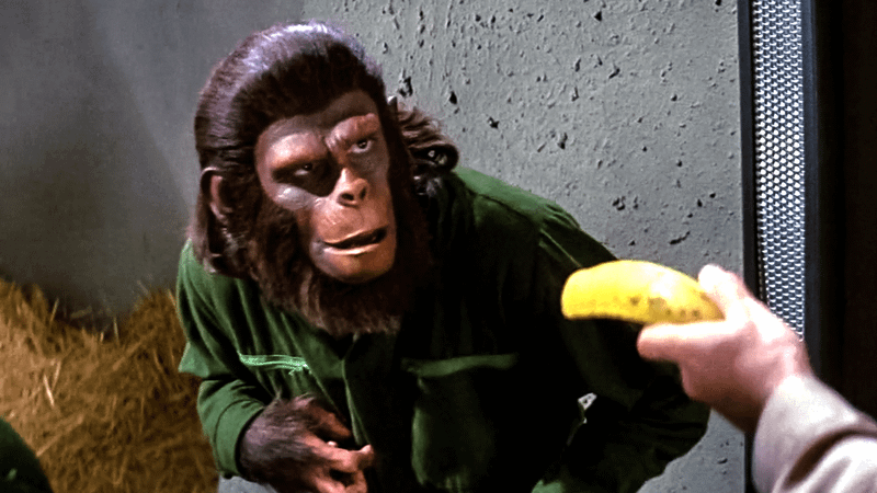 Kadr z filmu Podbój planety małp