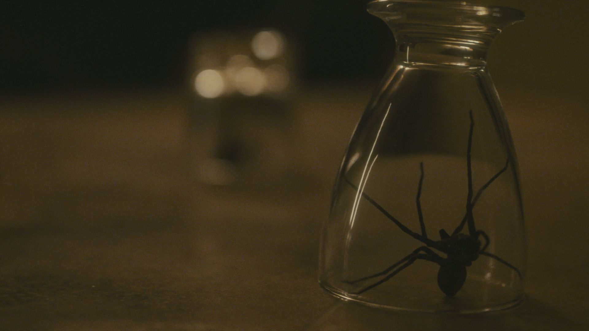 Zbliżenie na pająka wielkości dłoni uwięzionego przez odwrócone szkło w Infested