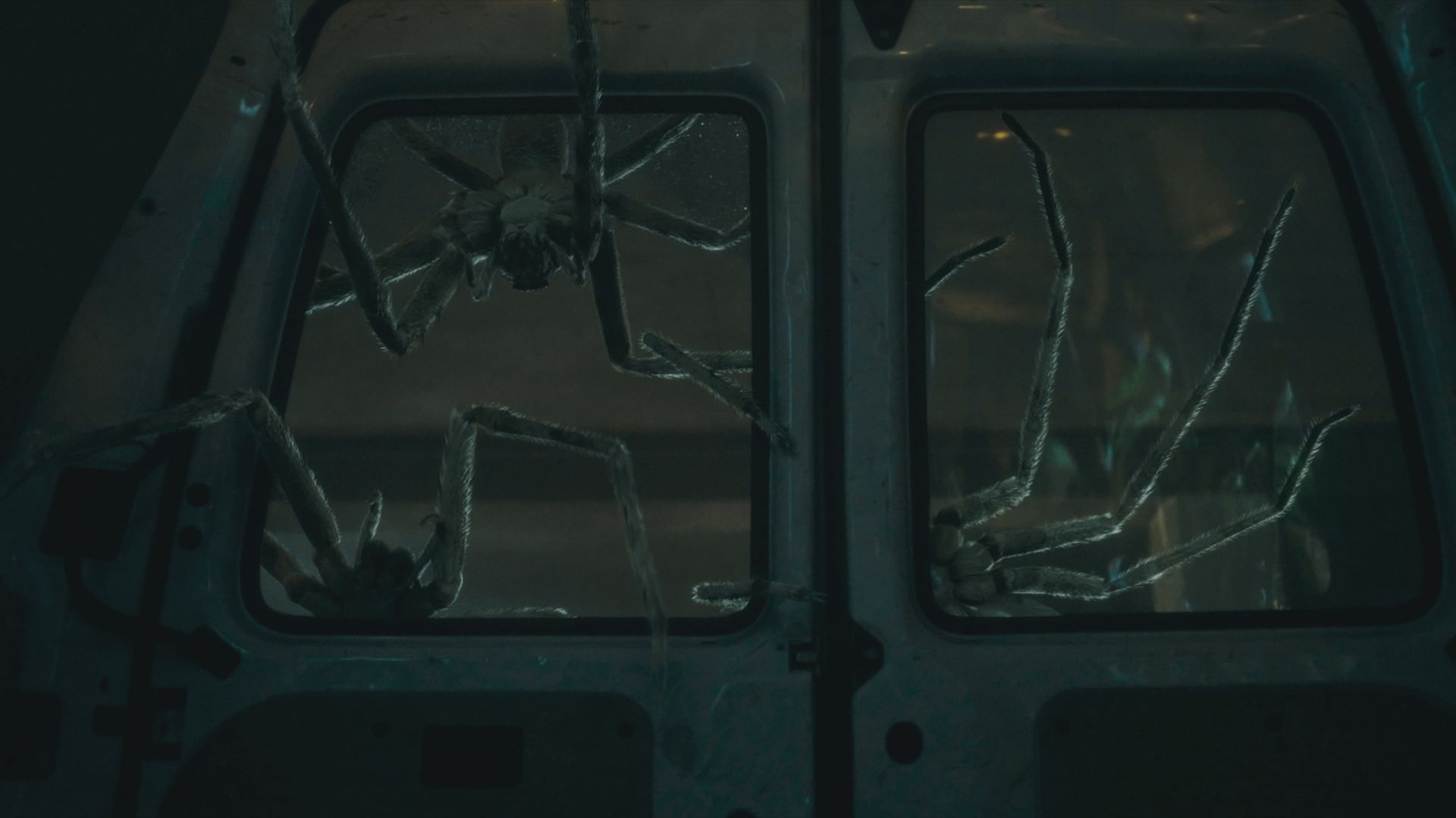 Duże pająki-zabójcy wpełzają przez okno furgonetki w Infested