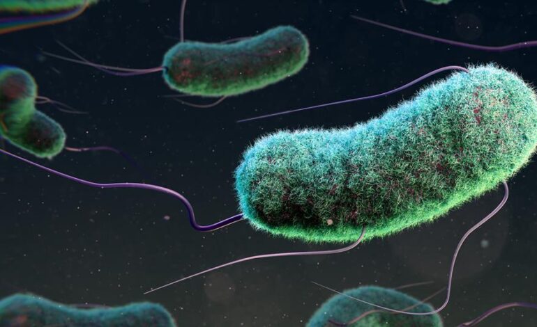E. coli zaprojektowana tak, aby uzależnić się od metanolu i służyć jako surowce przemysłowe |  Badania