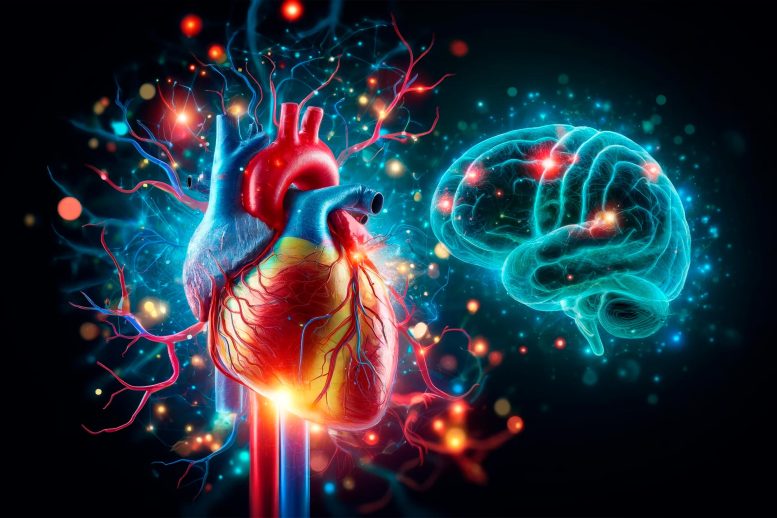 Koncepcja genetyki serca mózgu