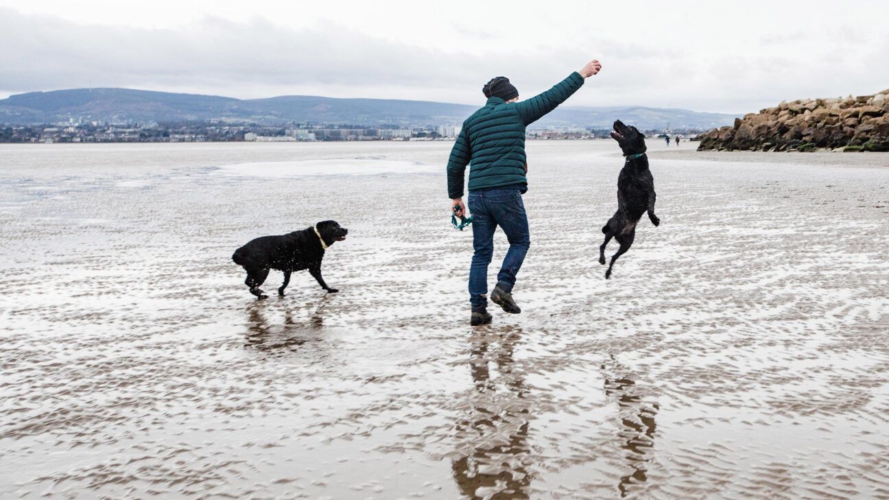 Mężczyzna bawiący się z dwoma psami na plaży.