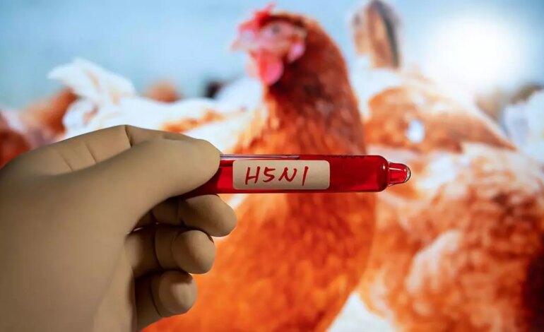 Ministerstwo Zdrowia monitoruje przypadki ptasiej grypy, „sytuacja pod kontrolą”