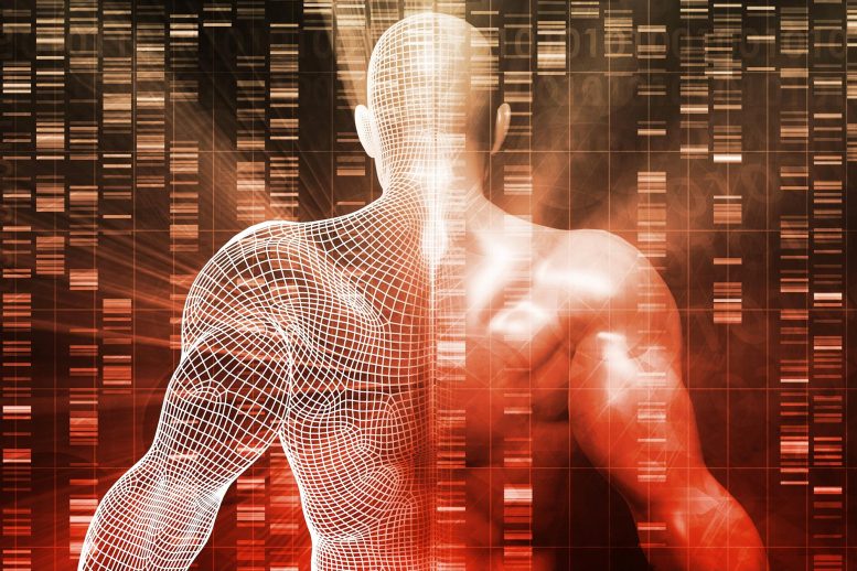 Koncepcja DNA genetyki ludzkiego genomu