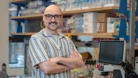 Nowe centrum bada, jak geny kształtują układ odpornościowy