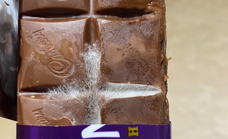 Grzyb znaleziony w mlecznej czekoladzie Cadbury’s w Hyderabad.  Firma odpowiada