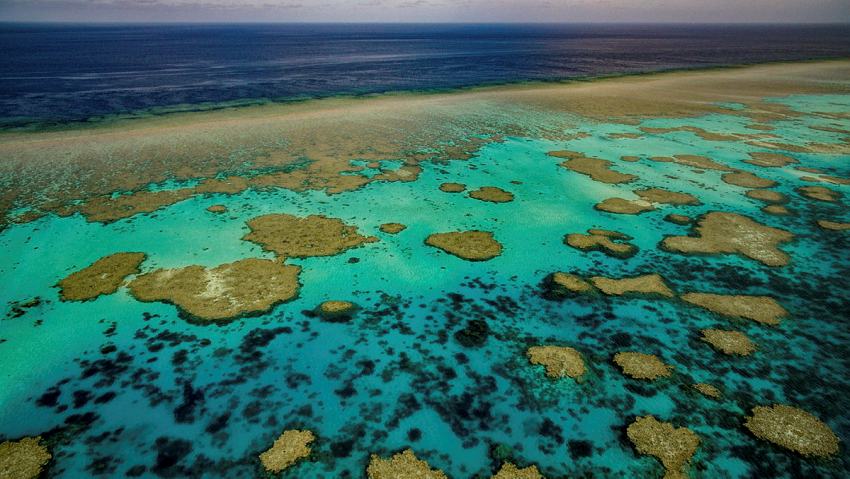 Zdjęcie z góry przedstawiające rafę koralową otoczoną wodą i ciemnoniebieskim oceanem