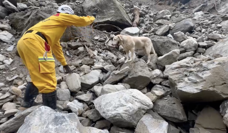 Trzęsienie ziemi na Tajwanie: „Roger”, nadmiernie zabawny pies, który nie zdał akademii policyjnej, staje się gwiazdą reakcji na trzęsienie ziemi