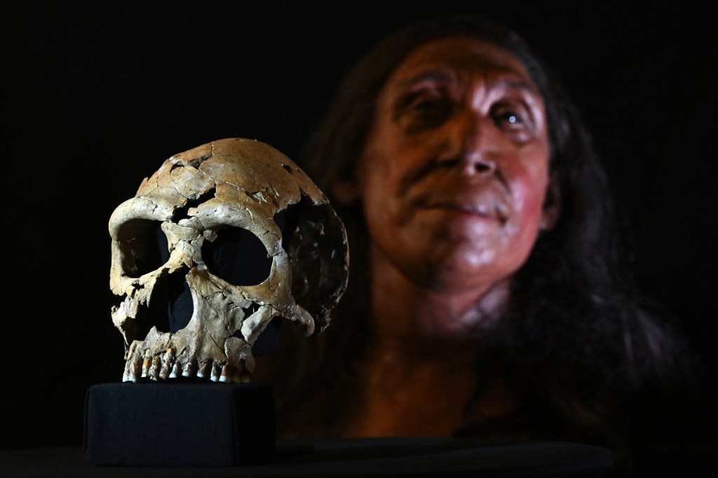 neandertalska kobieta 