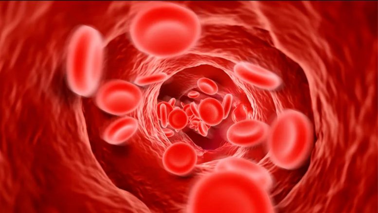 Ciśnienie czerwonych krwinek