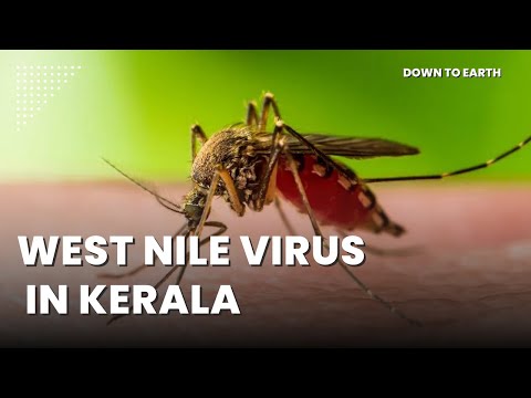 Kerala jest w stanie najwyższej gotowości po zgłoszeniu przypadków wirusa Zachodniego Nilu w Kozhikode, Thrissur, Malappuram