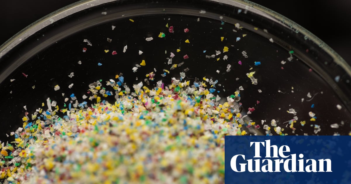 Mikroplastik znaleziony w każdym jądrze człowieka objętym badaniem |  Tworzywa sztuczne
