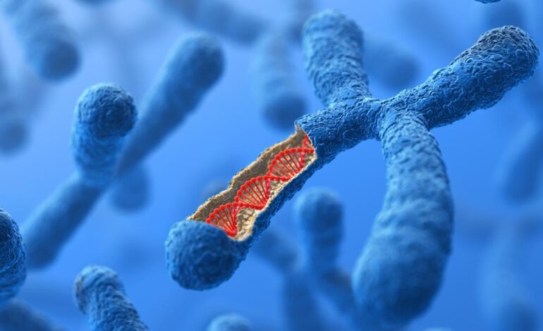 Odrodzenie chromosomu X u starszych kobiet zwiększa ryzyko chorób autoimmunologicznych