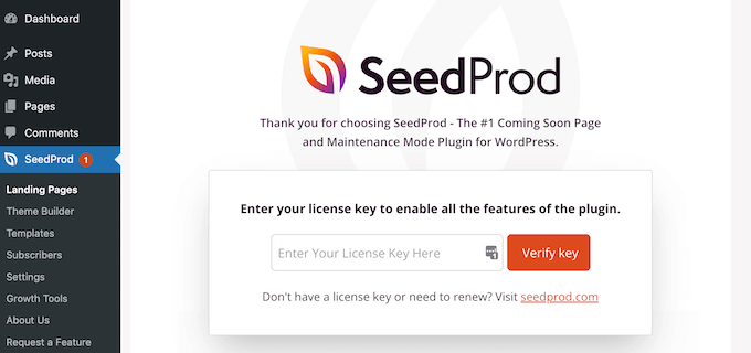 Dodanie klucza licencyjnego SeedProd do Twojej witryny WordPress