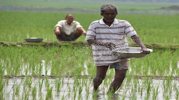 Dolina Gujarat Narmada, akcje do obejrzenia, najlepsze akcje