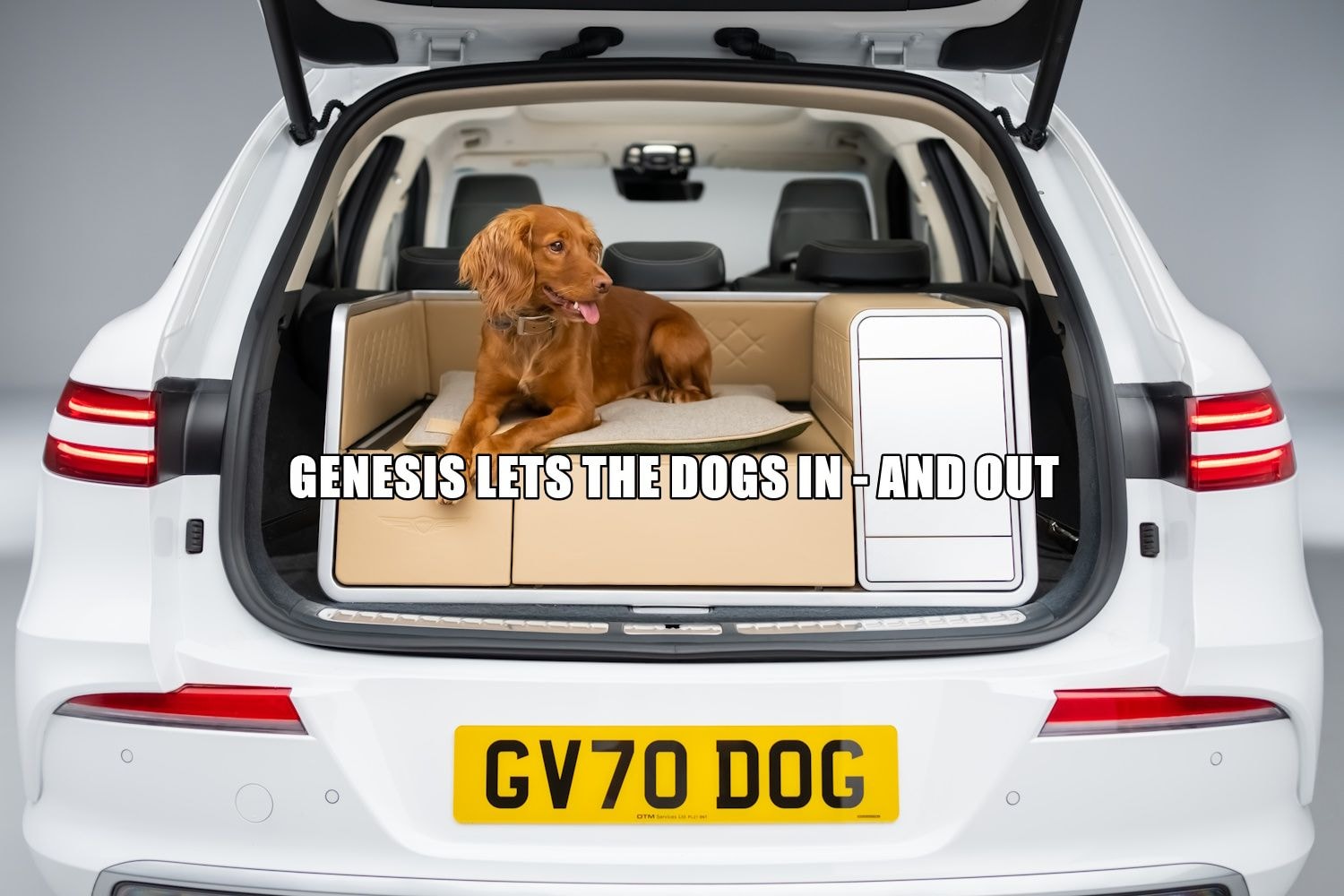 Moduł koncepcyjny Genesis X Dog zapewnia wygodę i rozpieszczanie Twojego psa