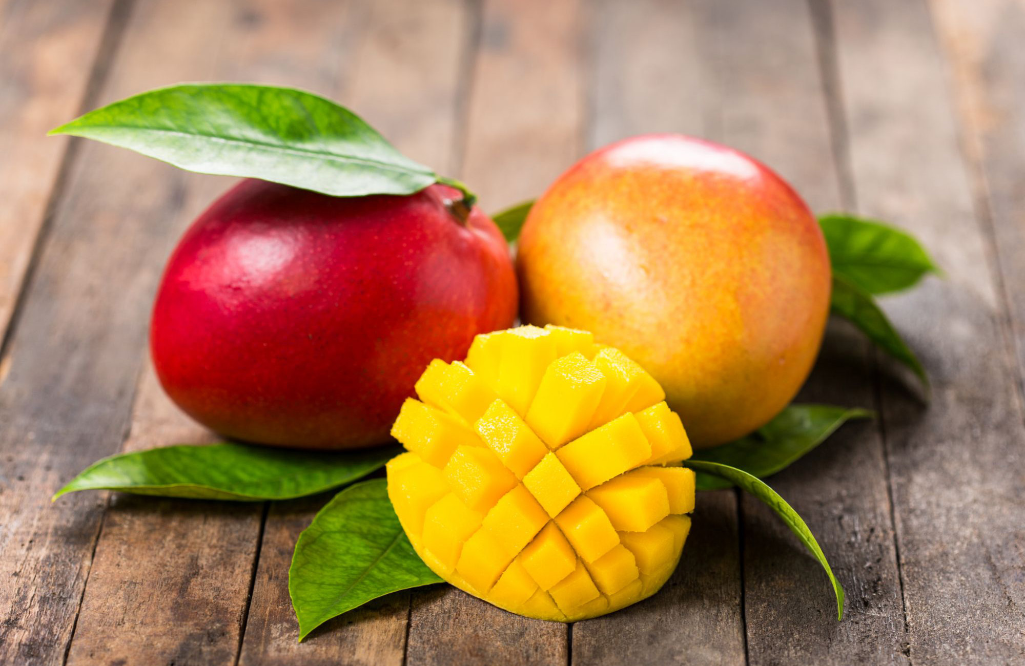 Naukowcy odkrywają nowe korzyści zdrowotne mango