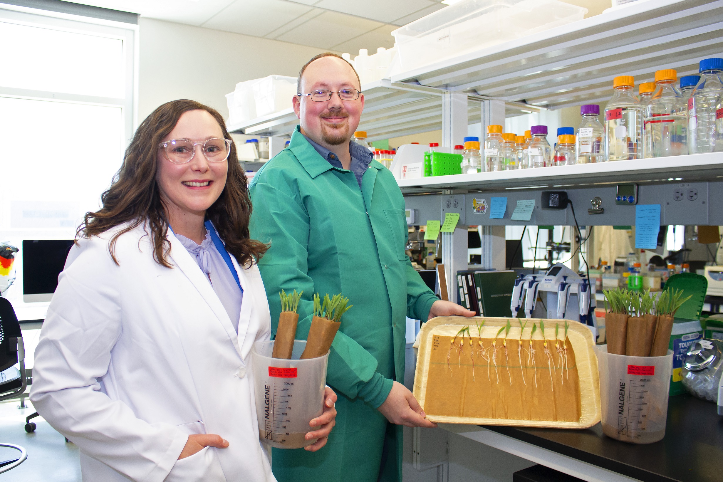 Kobieta i mężczyzna w laboratorium trzymają rośliny w plastikowych pojemnikach i próbują z wyciągniętymi korzeniami