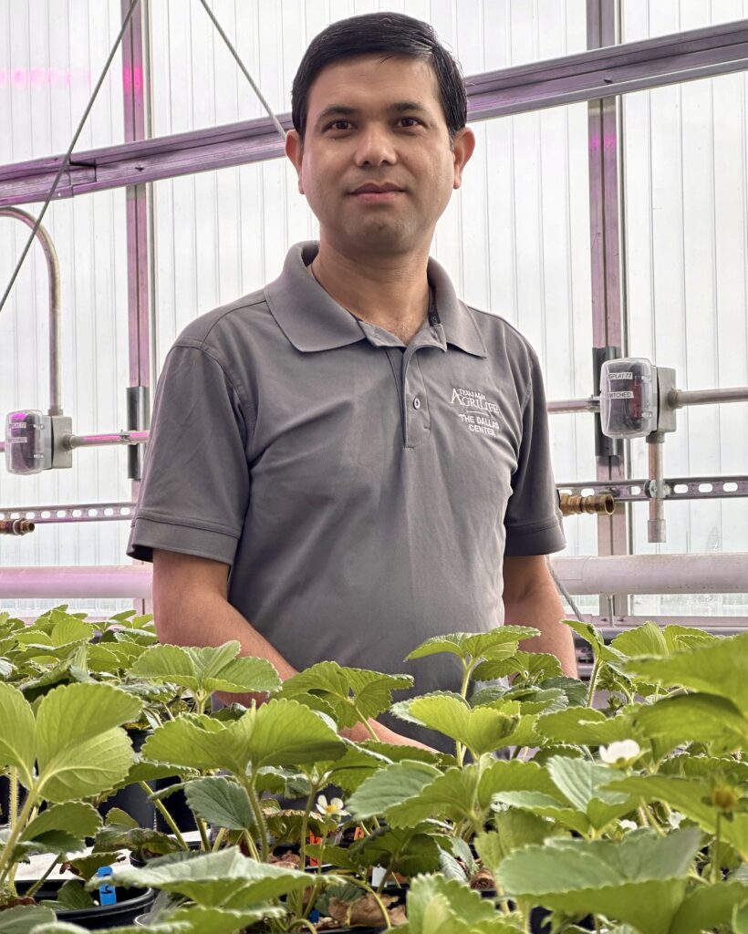 Doktor Krishna Bhattarai  w magazynie z roślinami przed sobą.  Ma na sobie szarą koszulę 