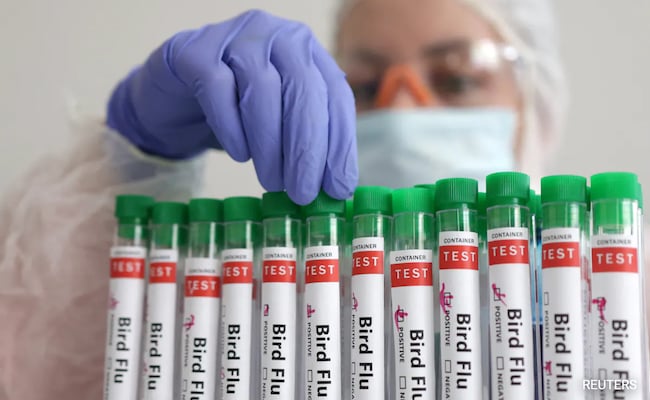 Pierwszy przypadek „ptasiej grypy” u człowieka zgłoszony w Australii u dziecka, które zaraziło się tą chorobą podczas pobytu w Indiach
