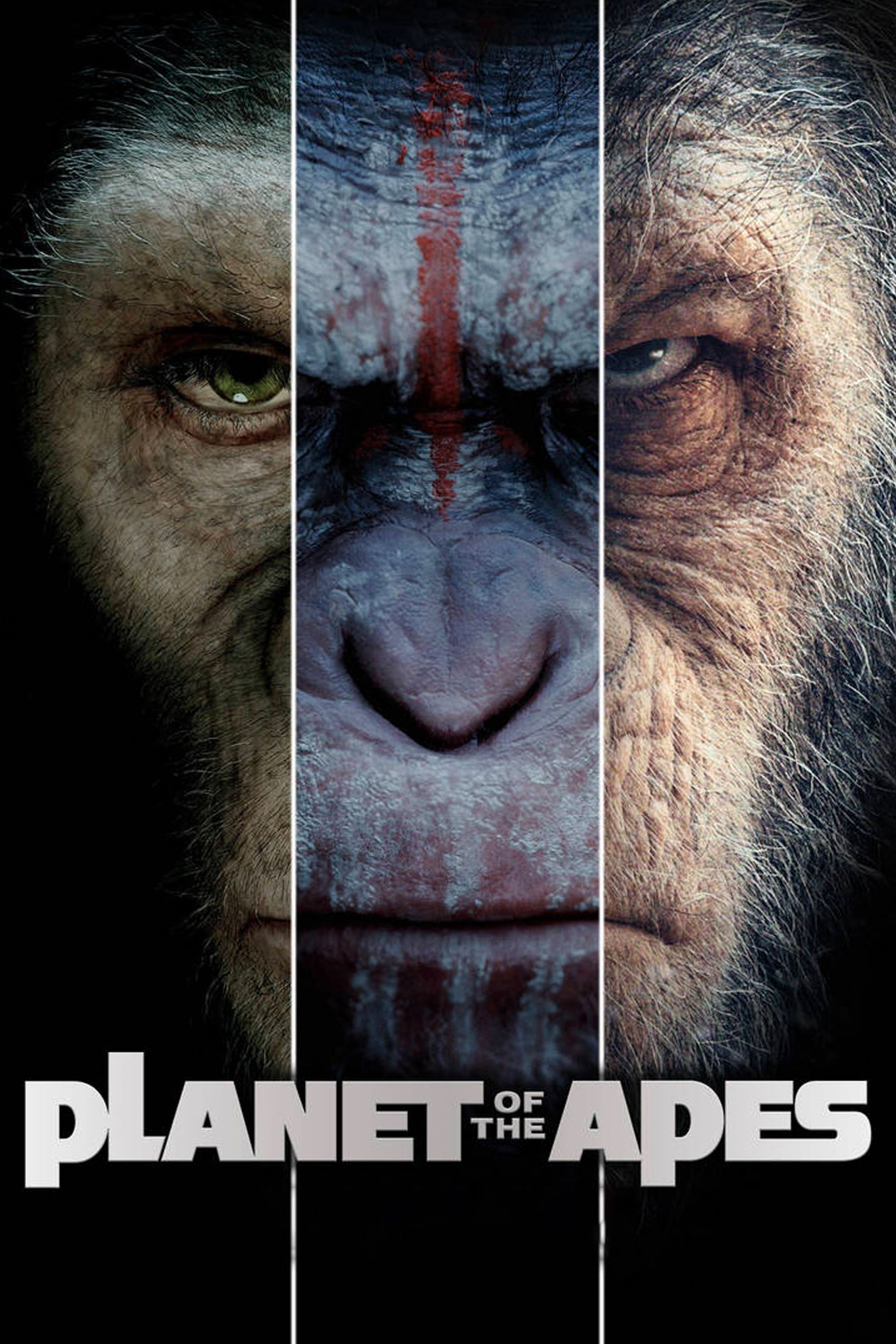 Plakat franczyzowy Planeta małp