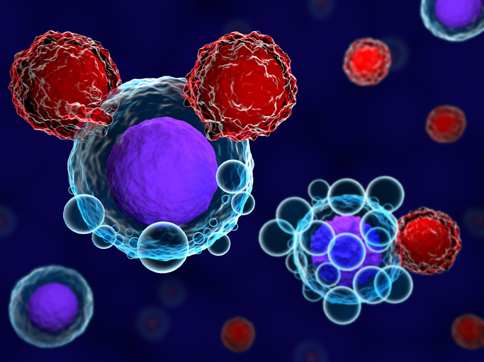 Komórki T i komórki nowotworowe