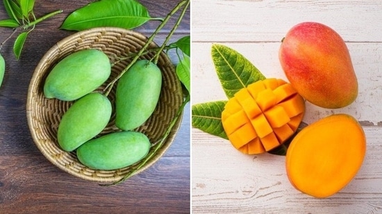 Zarówno surowe, jak i dojrzałe mango oferują liczne korzyści zdrowotne ze względu na bogatą zawartość witamin, minerałów i związków bioaktywnych.(Pinterest)