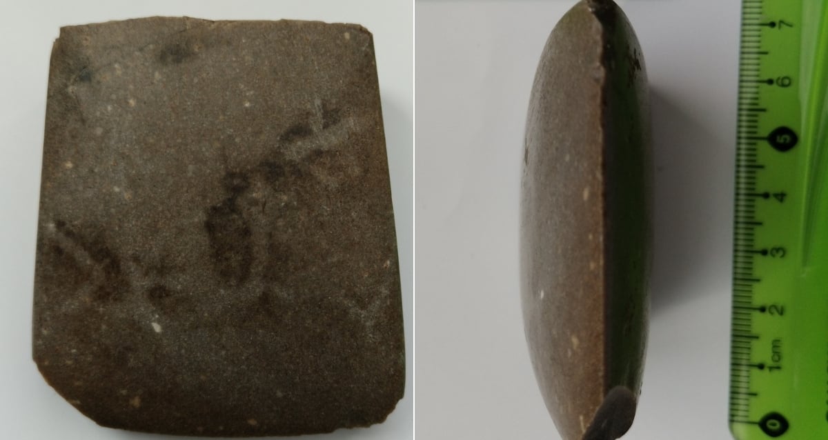 Polak znalazł w swoim malinowym krzaku topór sprzed 4500 lat