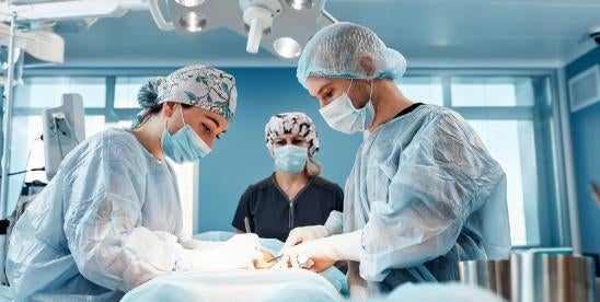 Jak ksenotransplantacja może skrócić listę oczekujących na oddanie narządów