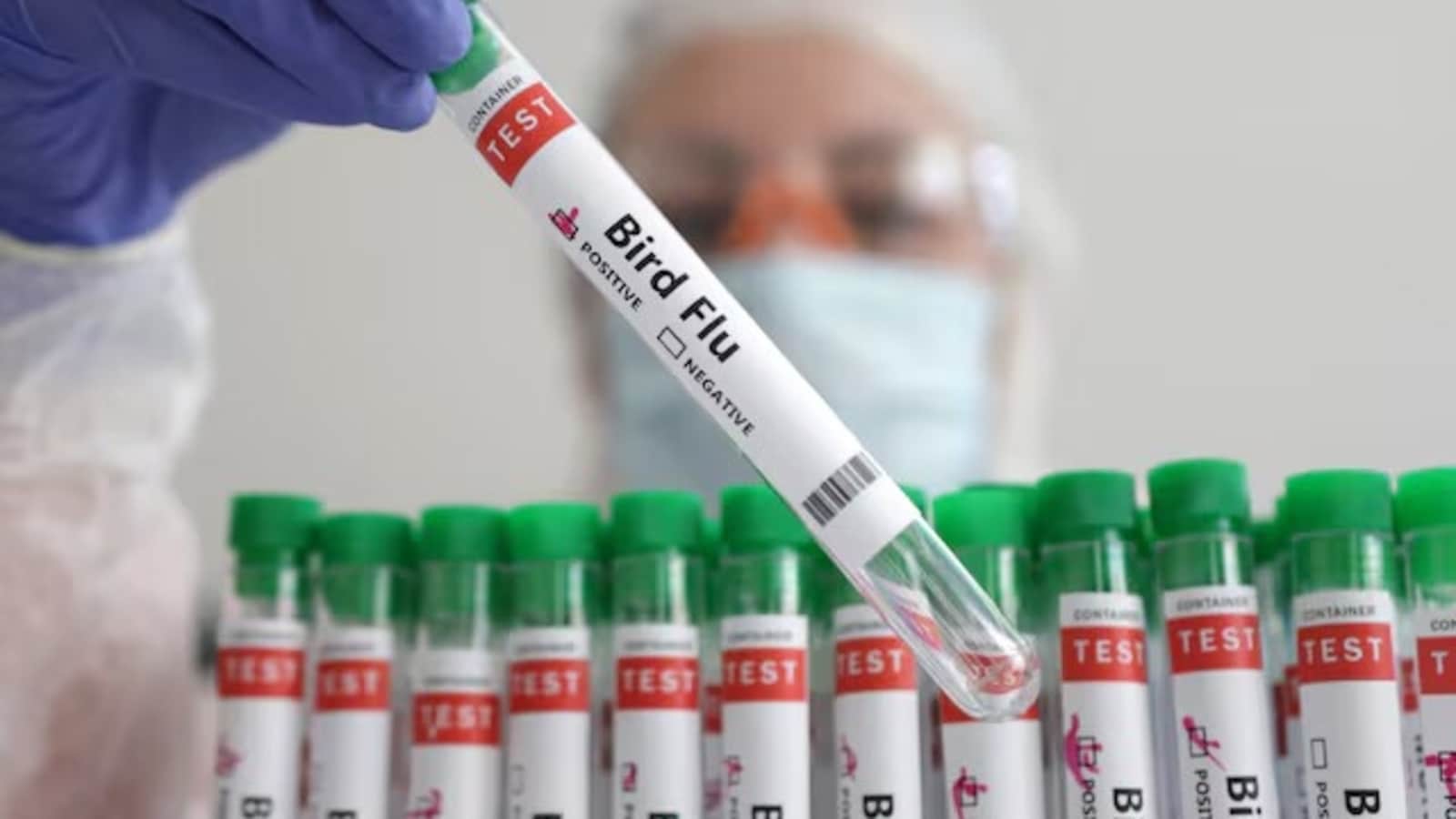 Rząd USA łagodzi przepisy dotyczące laboratoriów zajmujących się próbkami ptasiej grypy, aby ułatwić reakcję wirusa