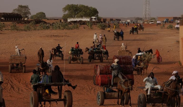 ONZ twierdzi, że ludzie jedzą „trawę i łupiny orzeszków ziemnych” w Darfurze, podczas gdy kryzys głodowy ogarnia wyniszczony wojną Sudan