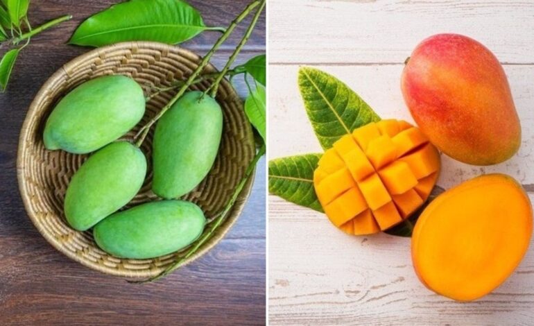 Surowe mango vs dojrzałe mango, które jest lepsze dla zdrowia?  |  Zdrowie