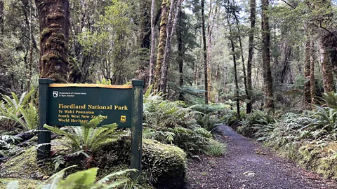 Park Narodowy Jessica Wynne Lockhart Fiordland położony jest w południowo-zachodniej części Wyspy Południowej w Nowej Zelandii (Źródło: Jessica Wynne Lockhart)