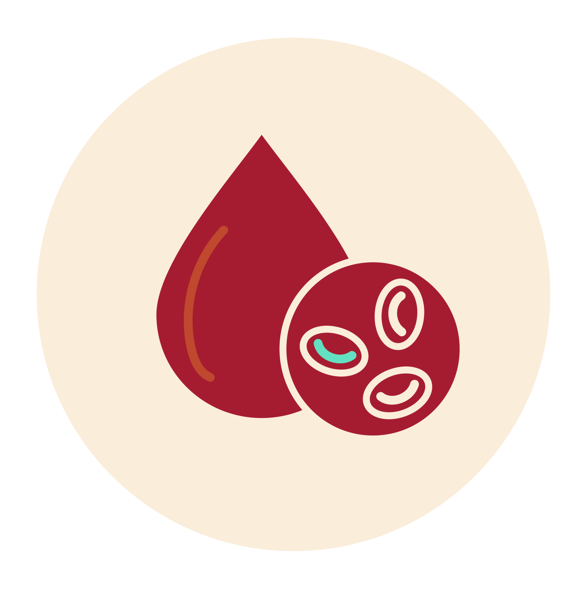 Czerwone krwinki zakażone malarią. 