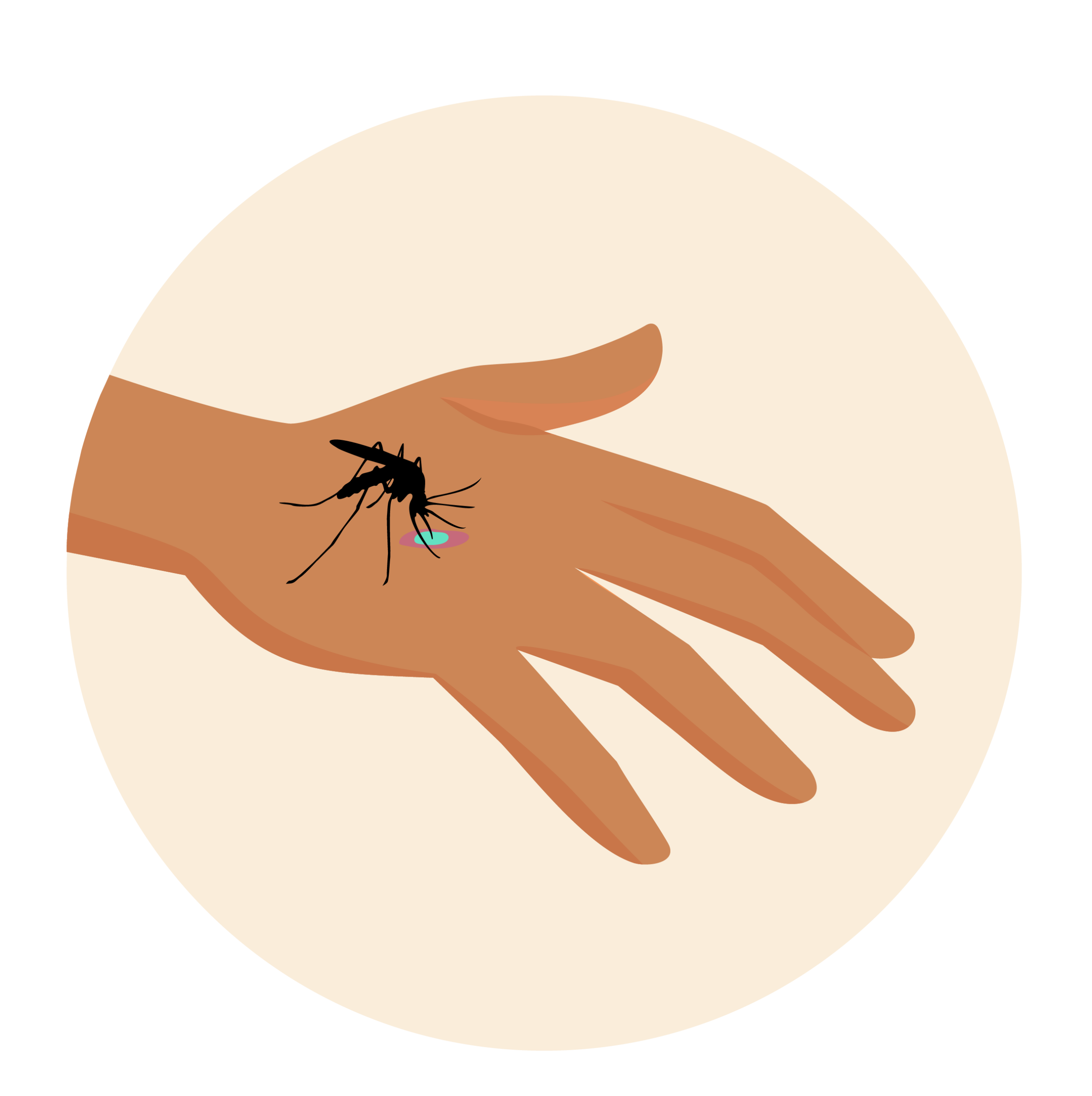Niezainfekowany komar gryzący dłoń krwią zakażoną malarią. 