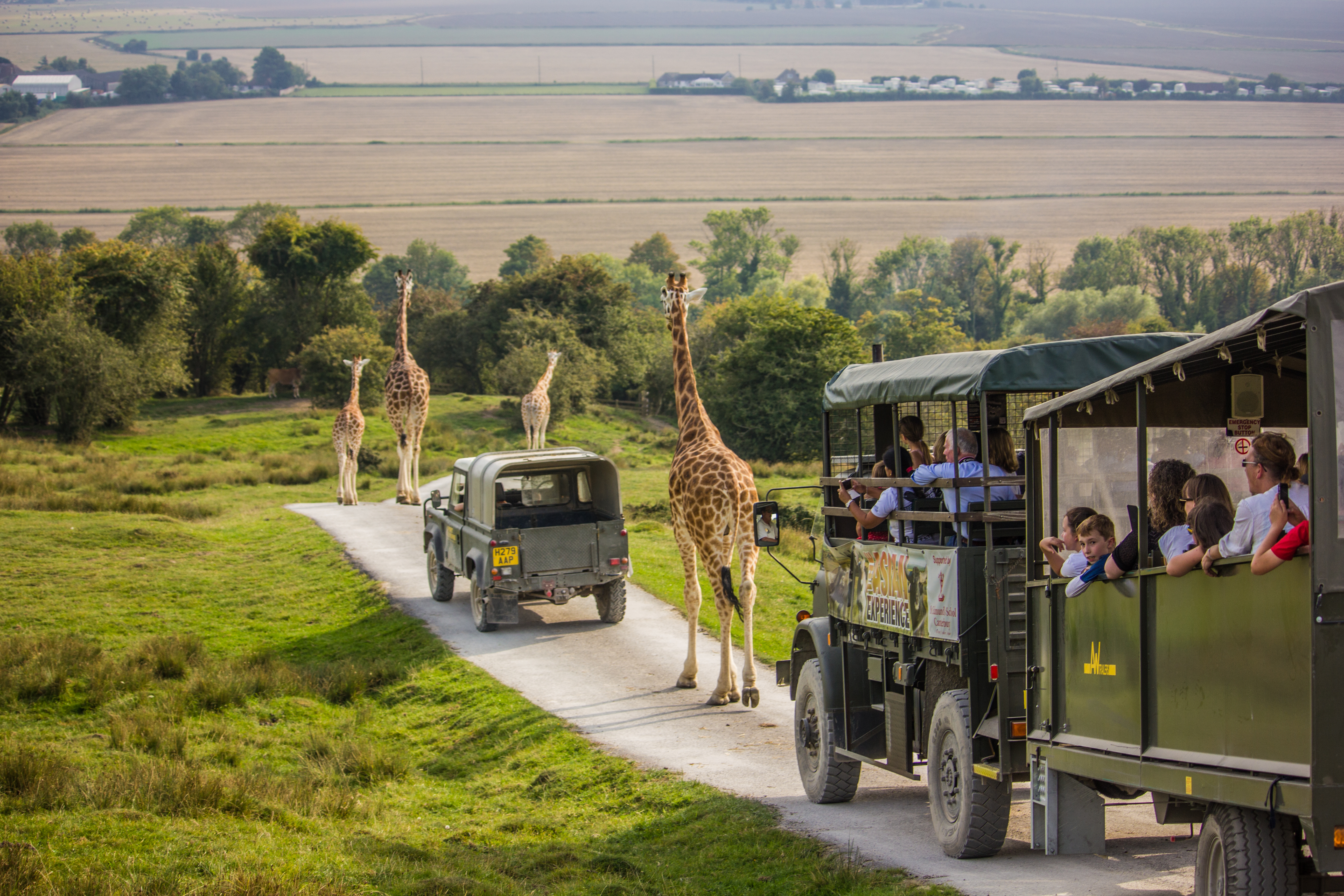 Zbliż się do wolno żyjących żyraf, zebr i wielbłądów podczas dwudniowego pobytu w Port Lympne Hotel and Reserve w Kent
