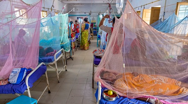 Wiadomości o dendze, denga z Kalkuty, bengalski szef rządu ds. dengi, przypadki dengi bengalskiej, denga z Kalkuty, TMC kontra BJP w sprawie kontroli dengi, dane o przypadkach dengi, program kontroli chorób przenoszonych przez wektory, malaria z Kalkuty, wiadomości ekspresowe indyjskie