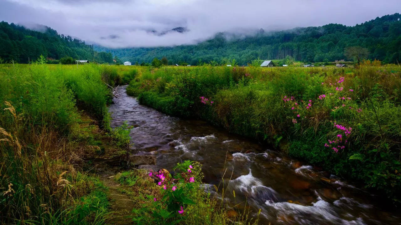 Ziro Arunachal Pradesh Kredyt Canva