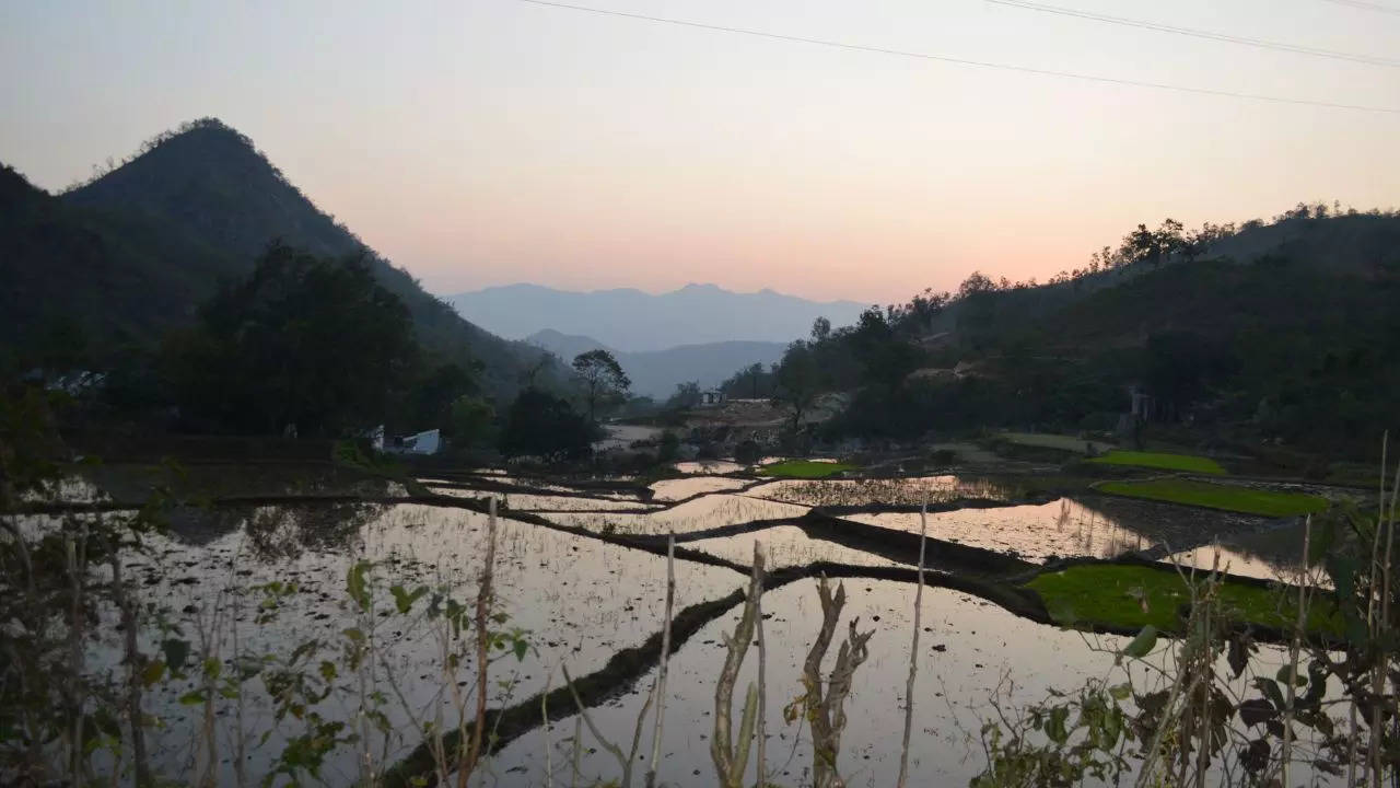 Dolina Araku, Andhra Pradesh Kredyt Canva