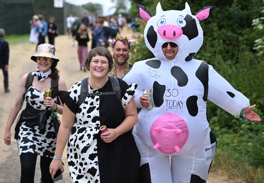 Grupa uczestników festiwalu ubranych w stroje z motywem krów na festiwalu Glastonbury, Worthy Farm, Pilton, Somerset, Anglia, 28 czerwca 2024 r.