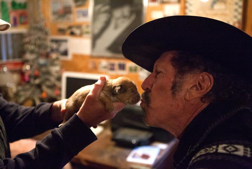 Kinky Friedman całuje bardzo młodego szczeniaka w swoim domu na ranczu w Medinie w grudniu 2013 roku.